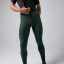 BIB TIGHTS ABSOLUTE 7.0 MAN K10 GREEN GABLES GOBIK